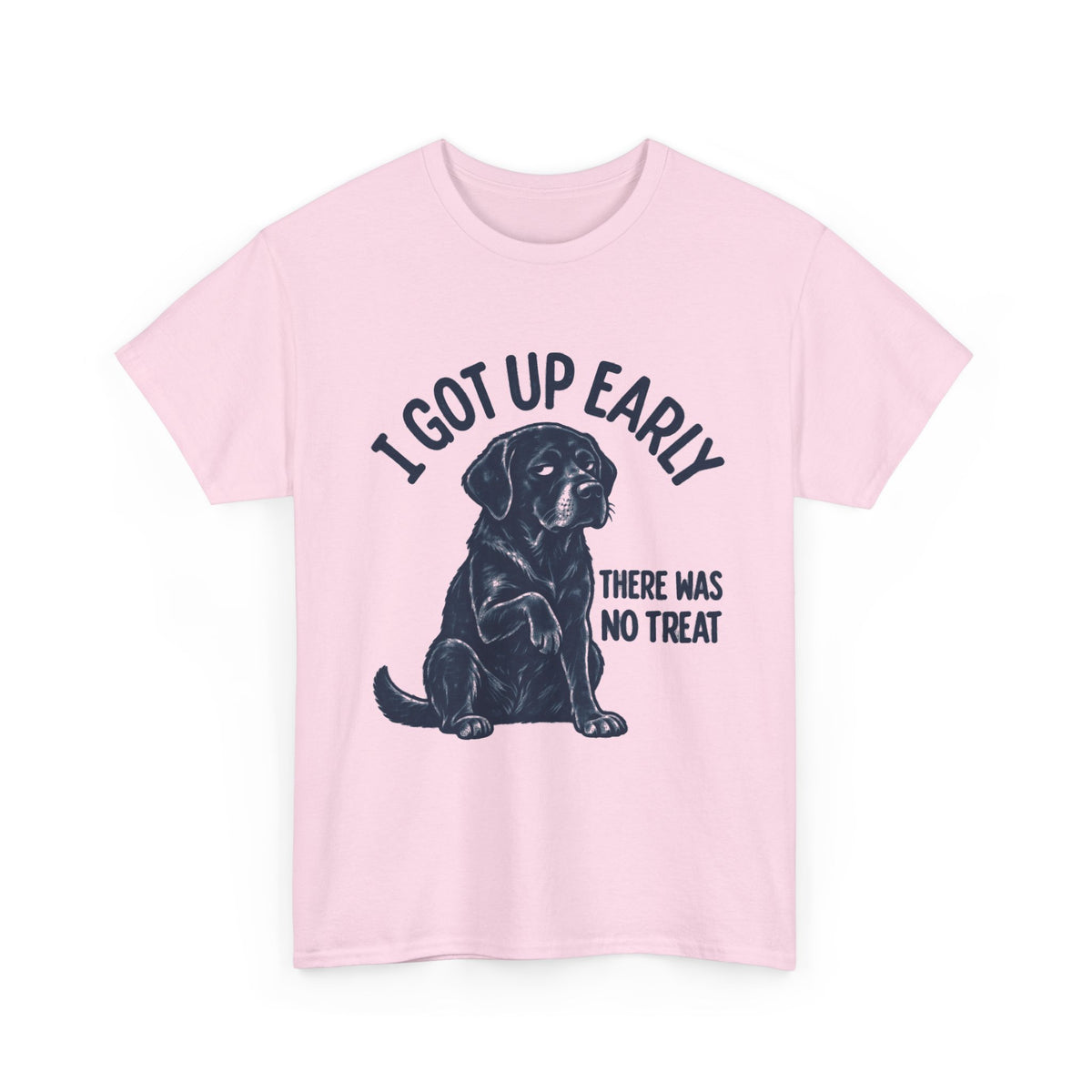 Grumpy Treat Labrador Shirt, I Got Up Early No Worm Tee